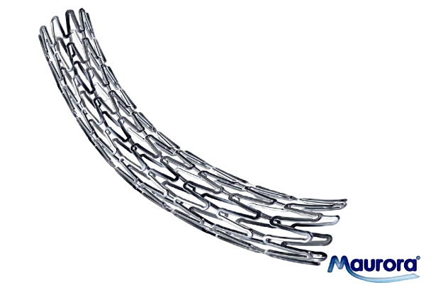 2020-Maurora® 雷帕霉素药物洗脱椎动脉支架系统上市..png